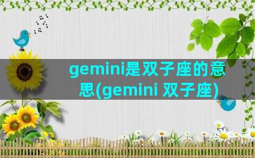 gemini是双子座的意思(gemini 双子座)